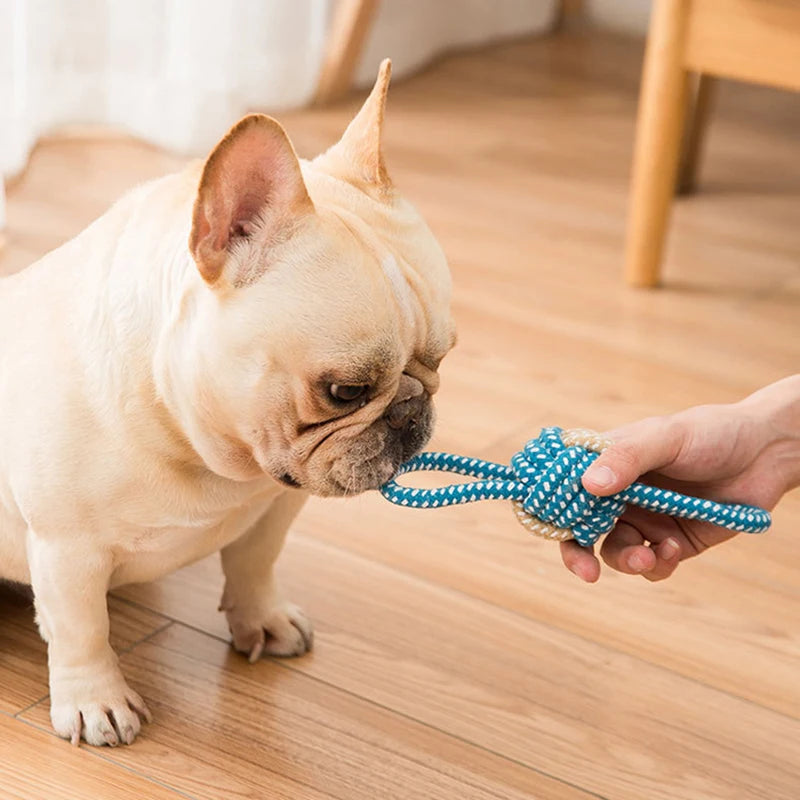 Interactive Cotton Rope Ball for Dogs and Cats